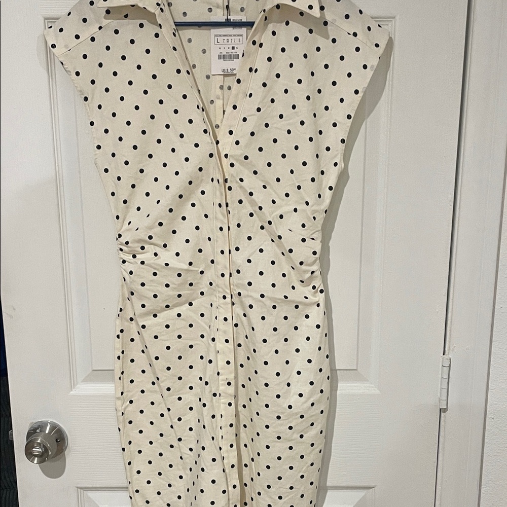 Zara Cream and Black Polka Dot Midi Dress
